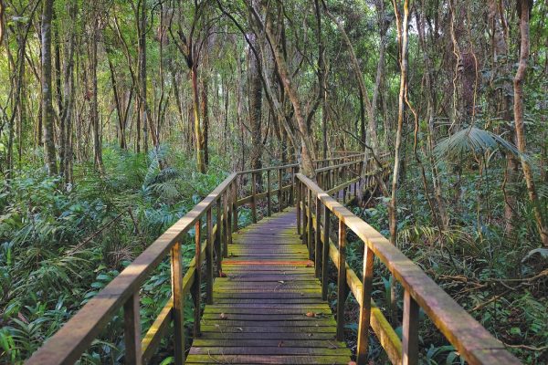 Lekki Conservation Centre