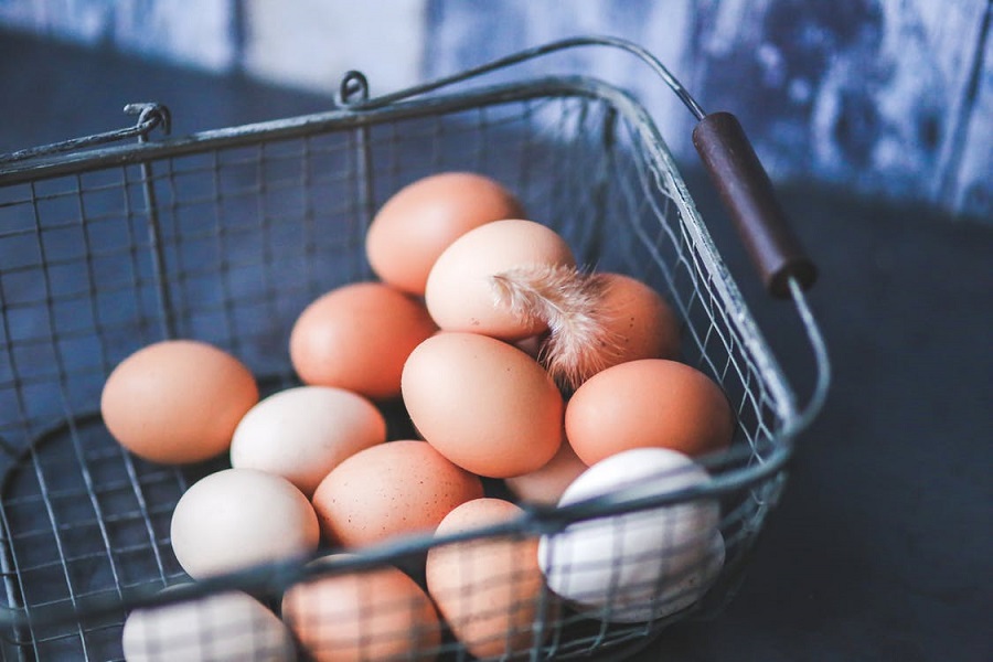 How to Start Eggs Supply Business in Nigeria